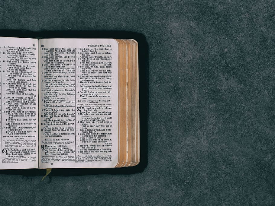 open pocket bible on green surface, opened Bible book, christianity HD wallpaper