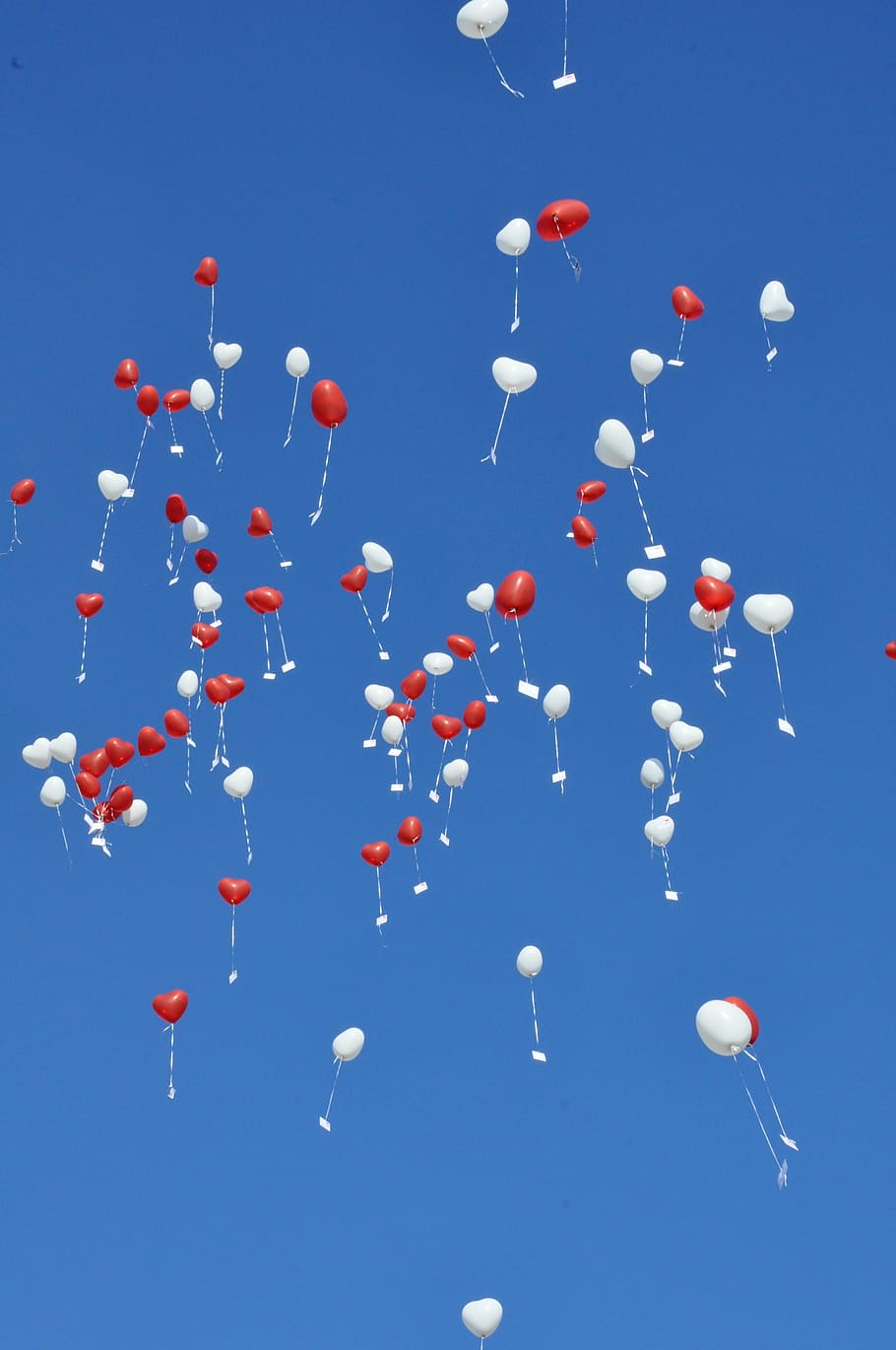 sky, balloons, blue, large group of objects, no people, flying HD wallpaper
