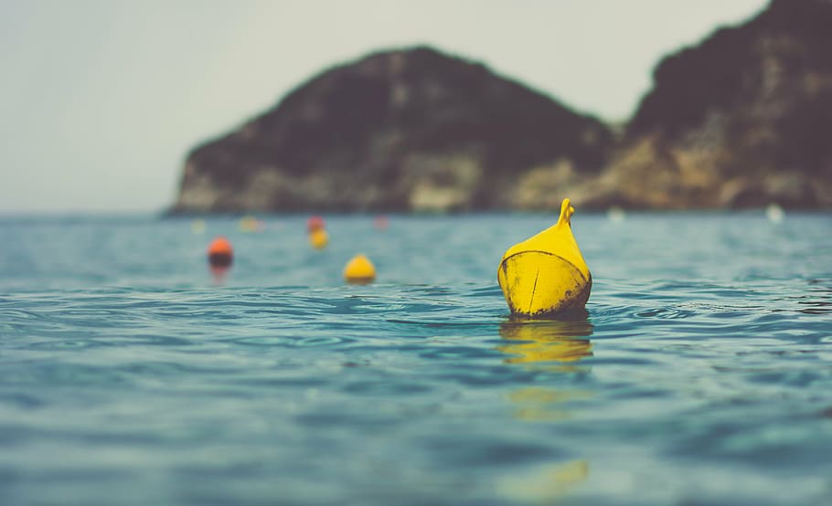 beach, close-up, daylight, forest, ocean, outdoors, reflection HD wallpaper