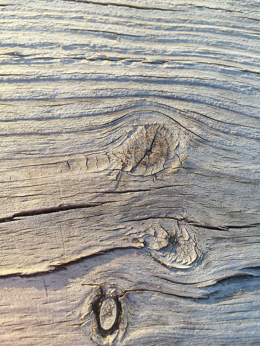 bark, tree, background, wood, grain, pattern, texture, nature HD wallpaper