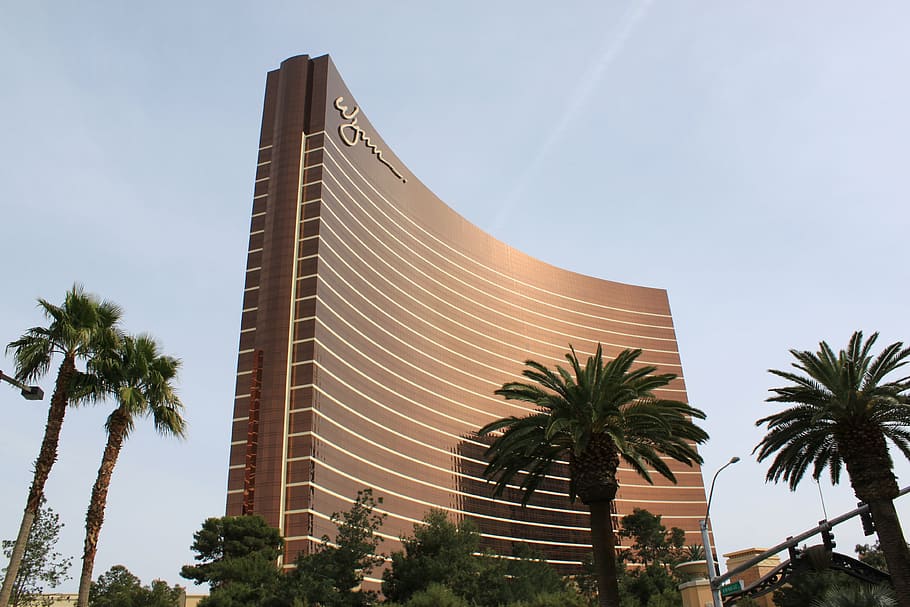 vegas, hotel, nevada, tree, sky, plant, palm tree, architecture HD wallpaper