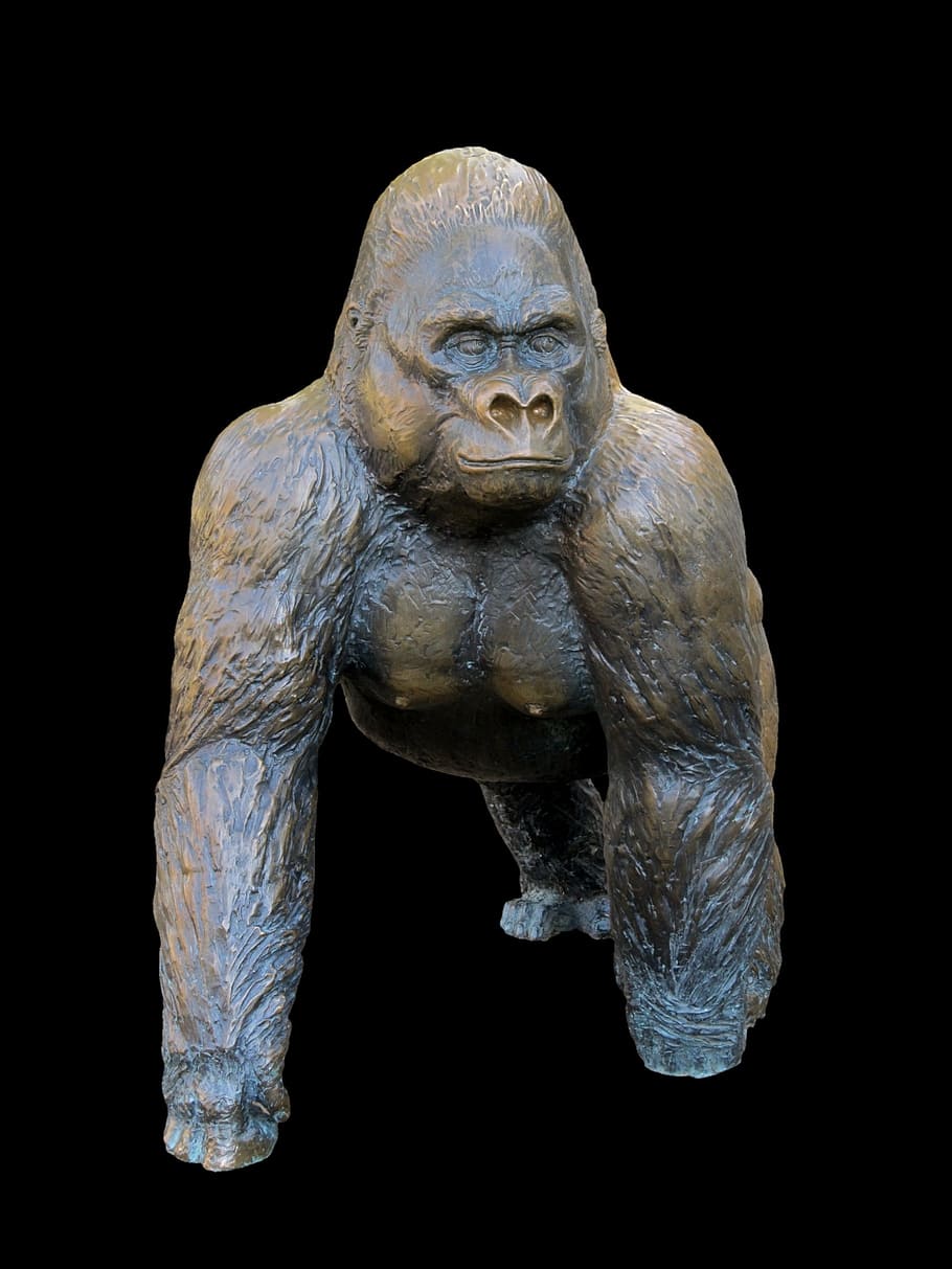 gorilla, monkey, ape, figure, sculpture, art, statue, places of interest HD wallpaper