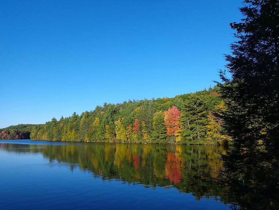 fall, autumn, river, nature, yellow, leaves, trees, foliage HD wallpaper