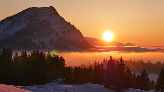 landscape photography of silhouette of trees near mountain HD wallpaper