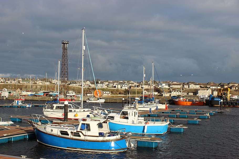 marina, harbour, wick, harbor, coast, waterfront, boat, sea HD wallpaper