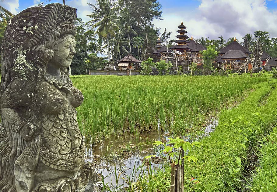 paddy, temple, bali, temple complexes, sculpture, architecture HD wallpaper
