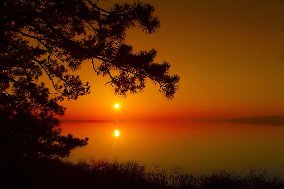 sea with sunset wallpaper, dawn, wood, silhouette, day s, lake balaton, HD wallpaper
