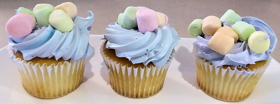 Cupcakes with blue frosting and marshmellows, candy, dessert, HD wallpaper