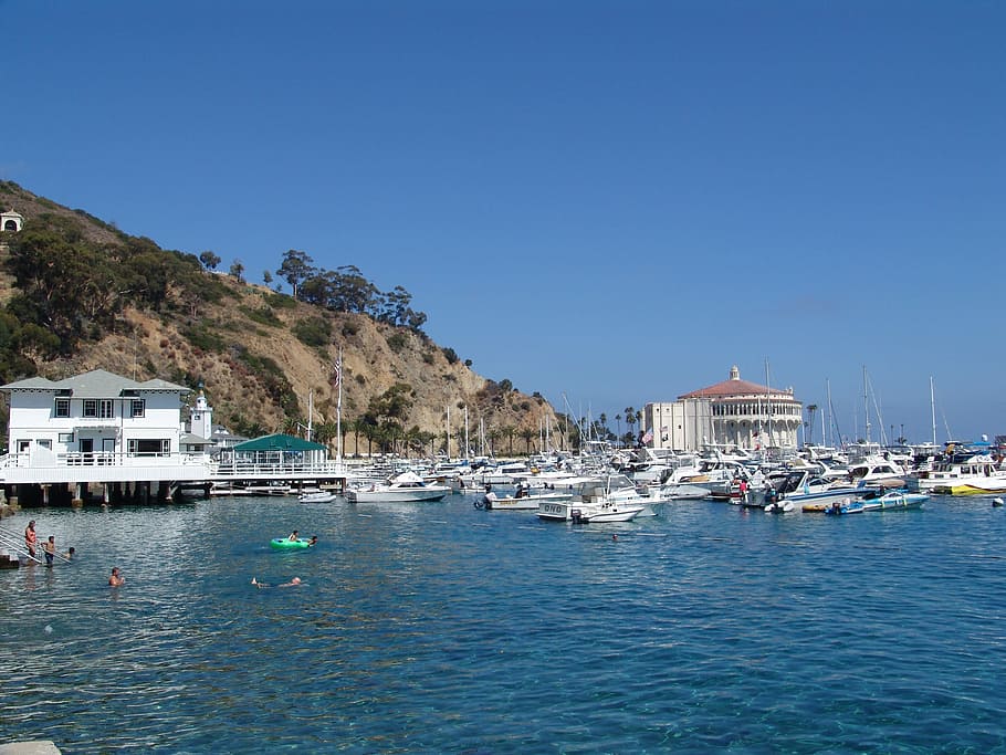 Catalina, Island, Sea, Pacific, Beach, blue, tourist, nautical vessel, HD wallpaper