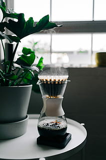 turned on black and grey coffeemaker near green leaf plant, clear glass coffee drip jar beside green plant HD wallpaper
