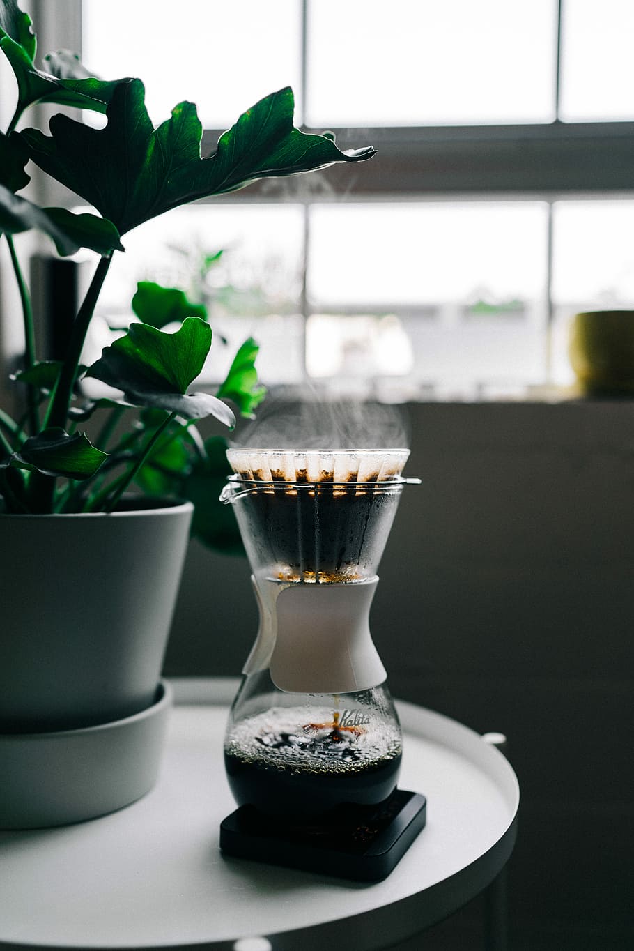 turned on black and grey coffeemaker near green leaf plant, clear glass coffee drip jar beside green plant HD wallpaper