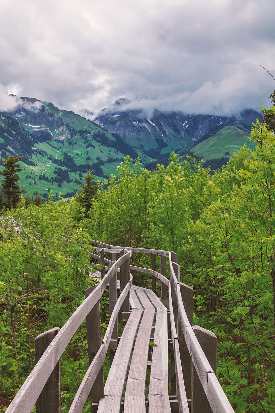 brown bridge passing through trees, Nature, Web, Mountains HD wallpaper