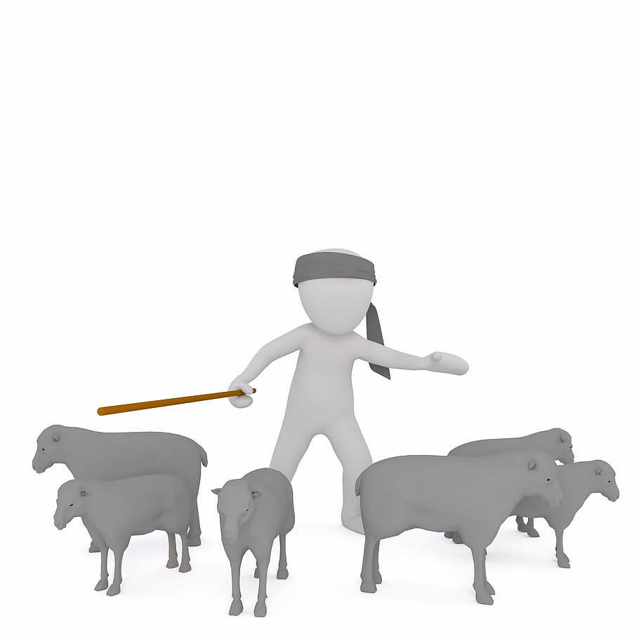 shepherd animated character, white male, 3d model, isolated HD wallpaper