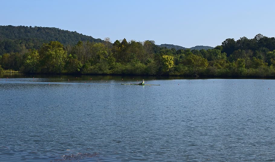 scull rower, scull rowing, sport, clinch river, melton lake HD wallpaper
