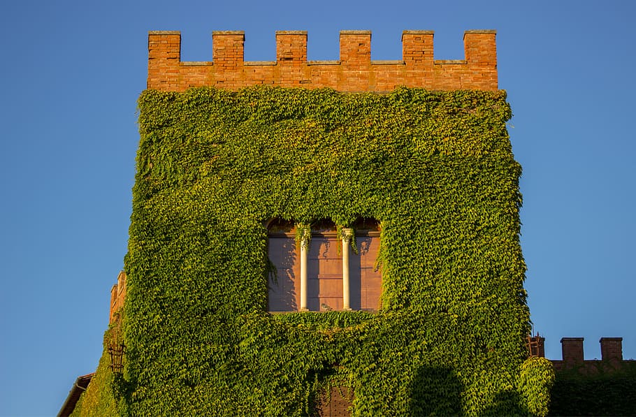 Tuscany, Italy, castello di ginori querceto, tower, ivy, old town, HD wallpaper
