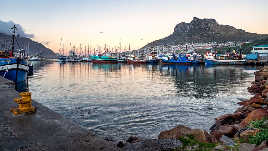 hout bay harbour, boats, sea, water, harbor, marina, yacht, HD wallpaper