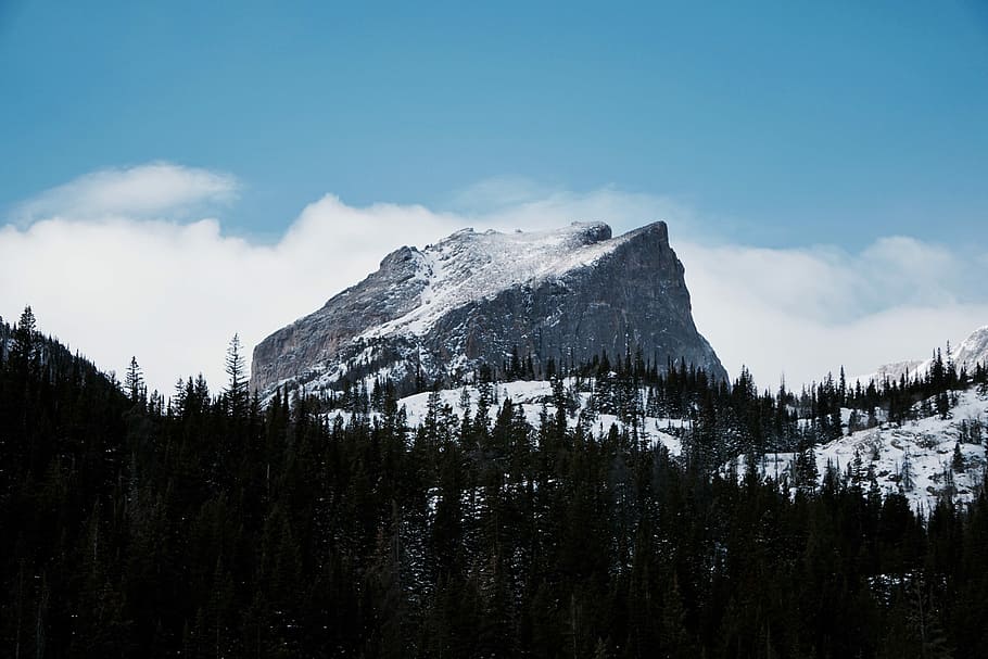 tundra mountain, silhouette of pine trees near rocky mountain HD wallpaper