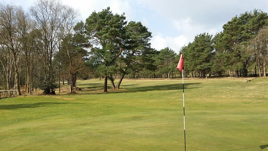 Golf, Course, Flag, Hole, Fairway, golfing, tree, grass, green HD wallpaper