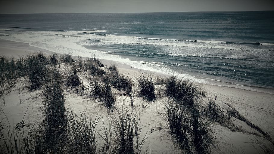 Beach, Sea, Sand, nature, no People, landscape, scenics, winter HD wallpaper