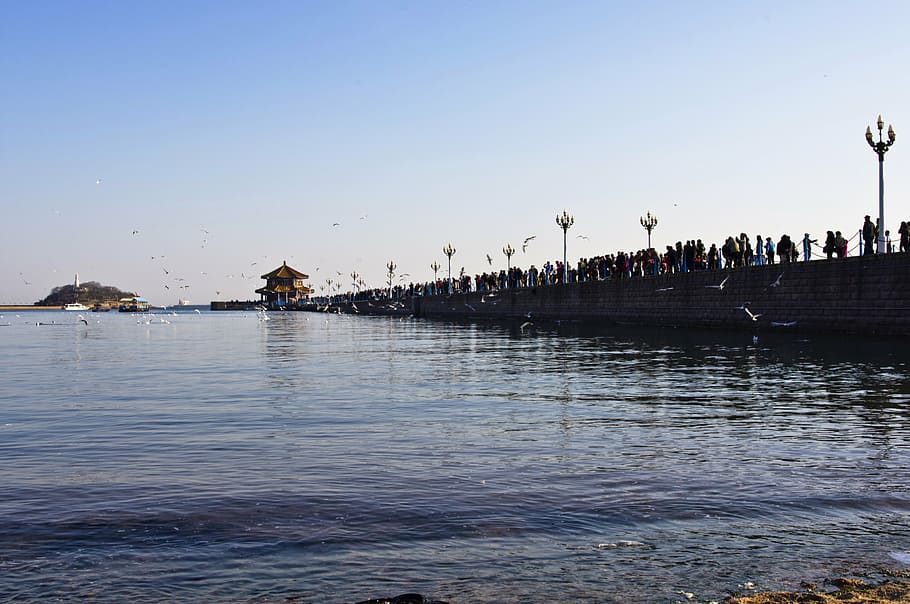 qingdao, trestle, beach, sea, water, sky, waterfront, nature HD wallpaper