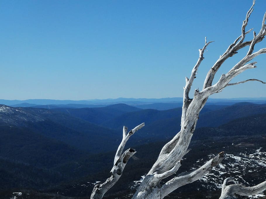 snow, sky, snow sky, winter, blue, white, nature, landscape HD wallpaper