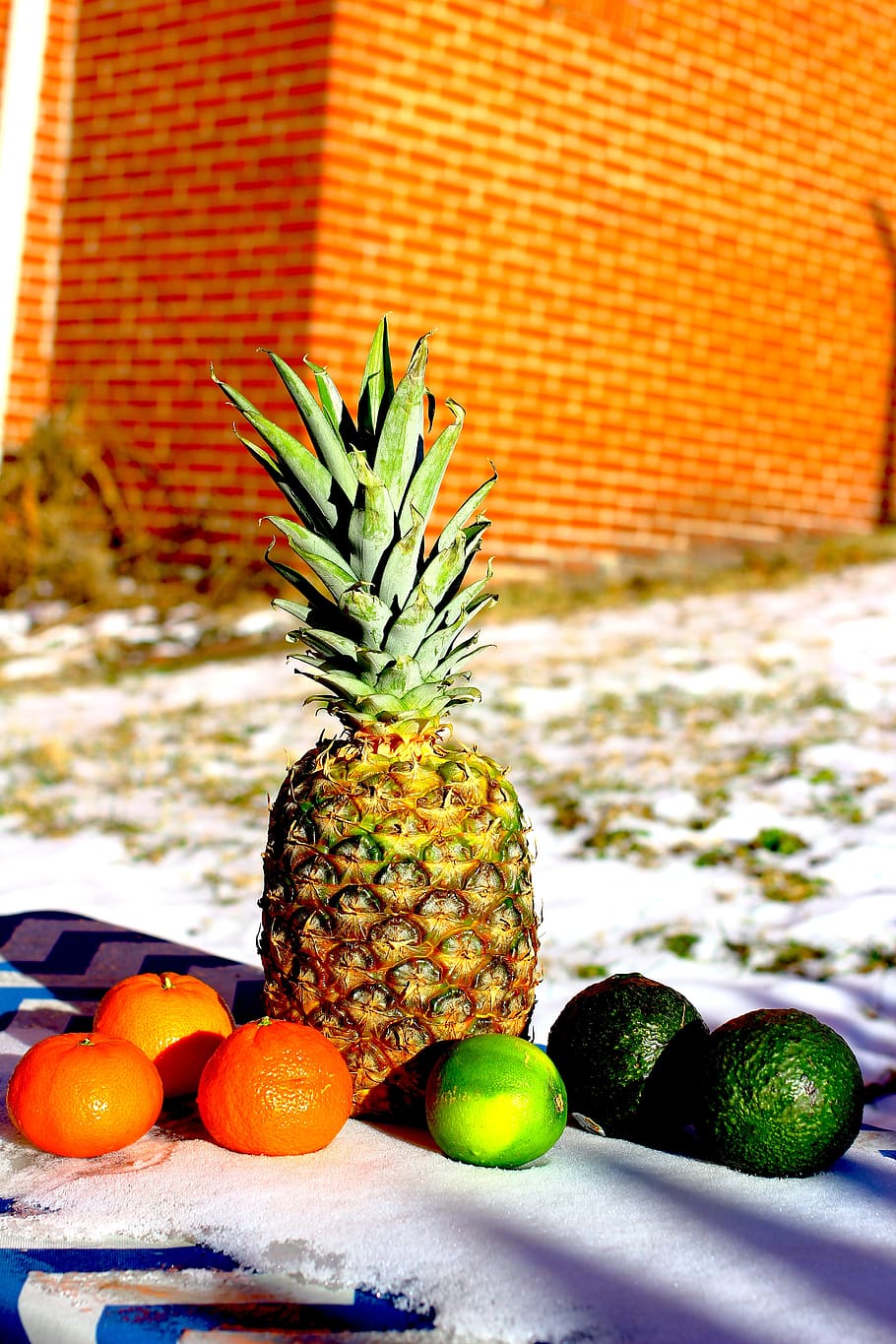 fruit, pineapple, orange, lime, avocado, outside, snow, winter HD wallpaper