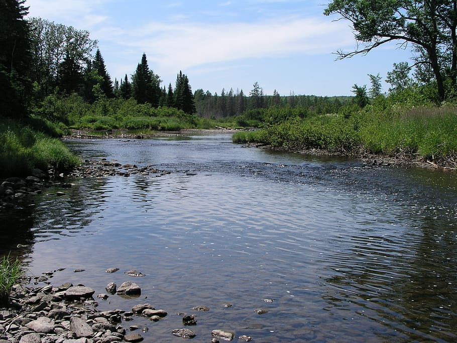 river, stream, water, nature, natural, rock, summer, flow, outdoor HD wallpaper