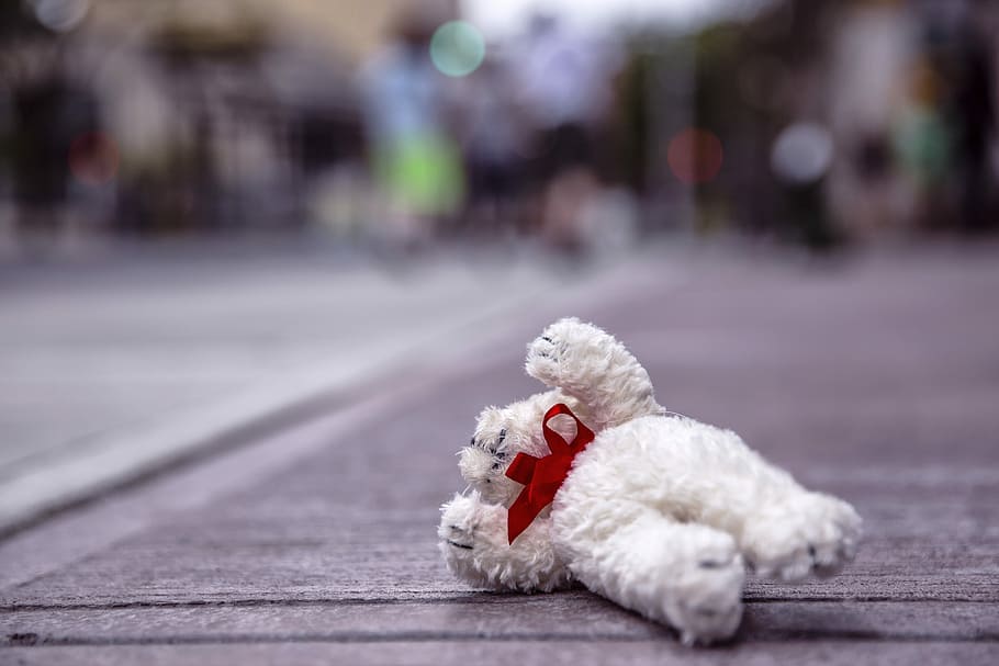 white teddy bear on road, objects, lazy, toy, stuffed, animal HD wallpaper