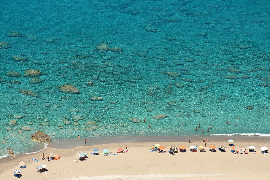 people on beach sand and body of water, group of people near shore during daytime HD wallpaper