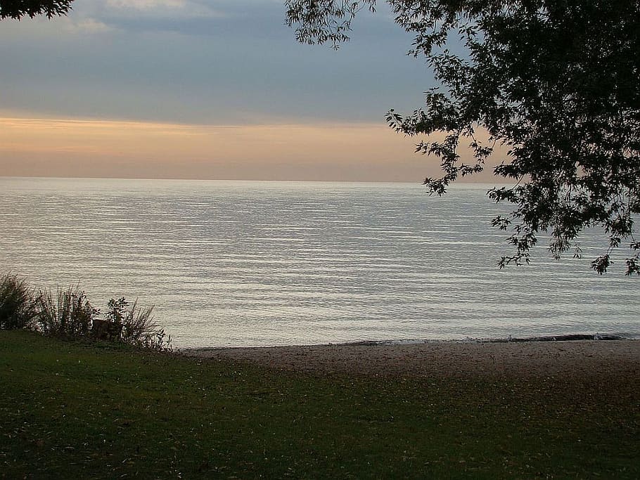 lake, water, sky, tree, coast, dusk, canada, sunset, sea, beauty in nature HD wallpaper