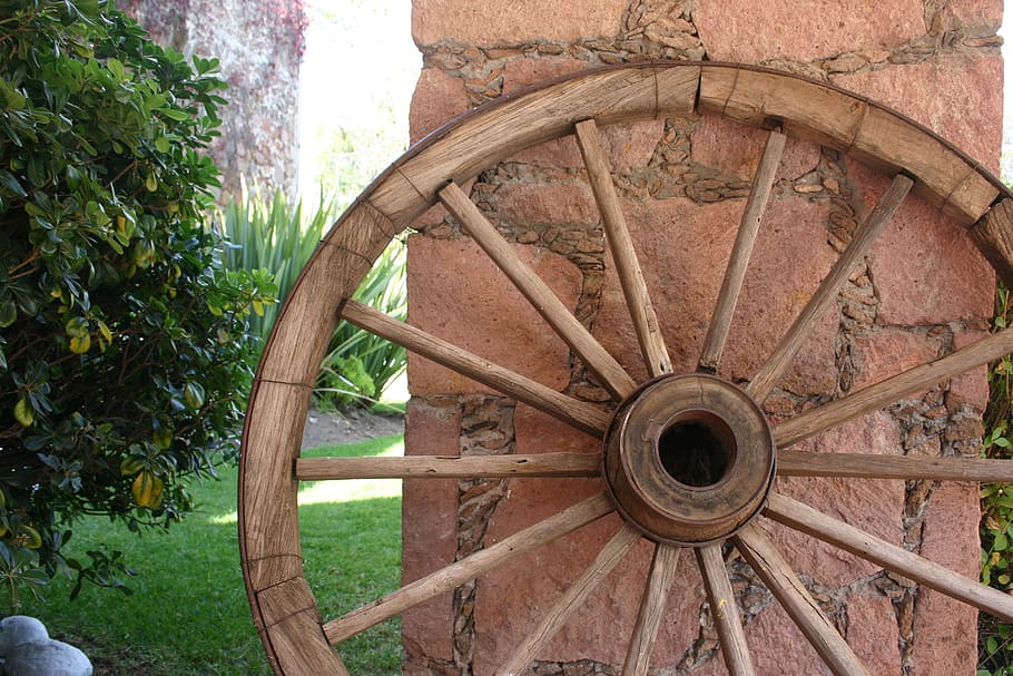 wheel, cart, rays, wood - material, plant, wagon wheel, tree HD wallpaper