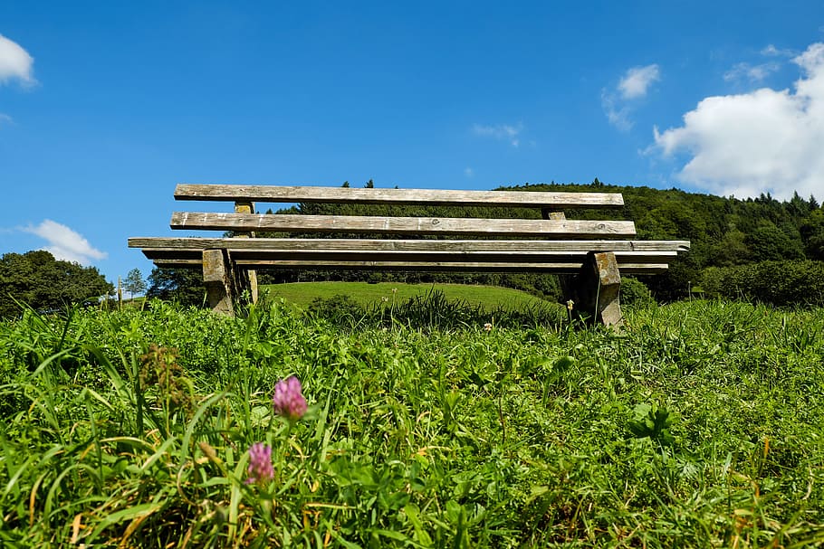 brown wooden bench on green grass field, bank, old bench, weathered, HD wallpaper