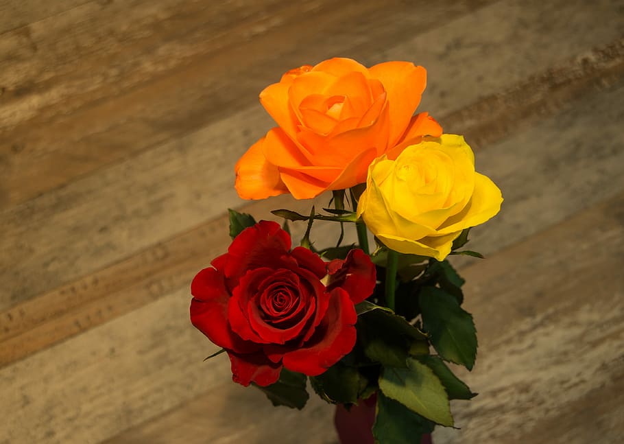 Hd Wallpaper: Three Orange, Yellow, And Red Artificial Rose Flowers,  Romance | Wallpaper Flare