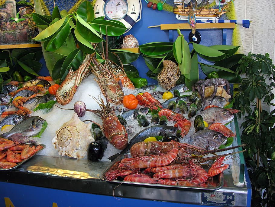 fish, fish stall, greece, tropical fish, colorful, food, seafood HD wallpaper