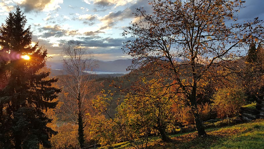 Sunset, Autumn, Forest, Landscape, autumn woods, tree, foliage HD wallpaper