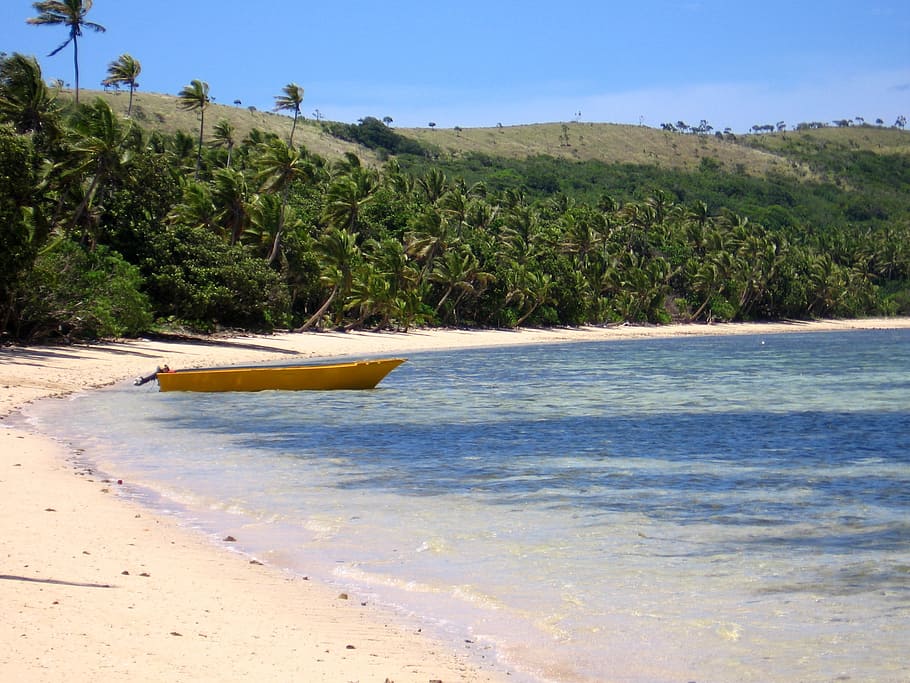 boat docked on beach, fiji, boot, palm trees, holiday, dream holiday HD wallpaper