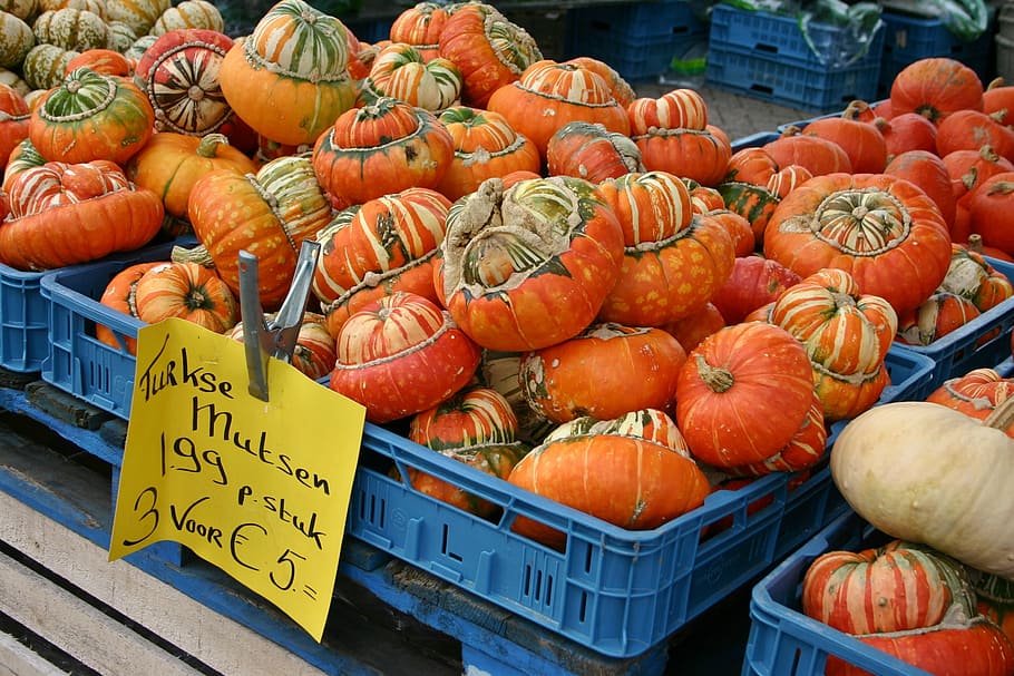 pumpkin, pumpkins, sale, nature, vegetables, food, autumn motives, HD wallpaper