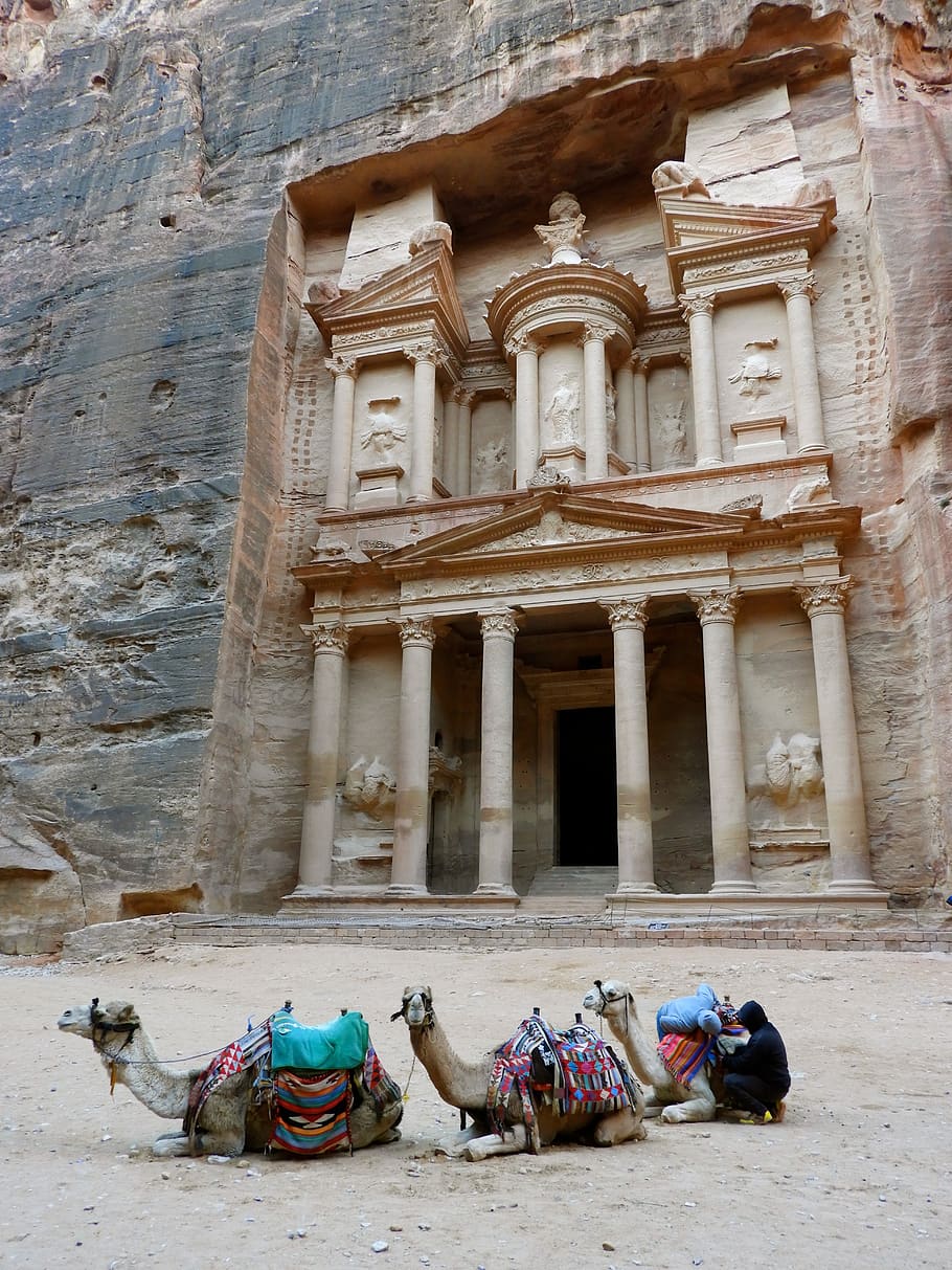 petra, jordan, camel, archeology, unesco, canyon, built structure