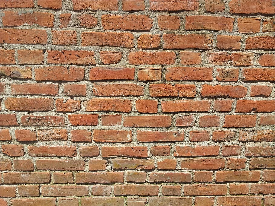 Wall, Ceiling Tiles, Plaster, plaster wall, brick wall, backgrounds HD wallpaper
