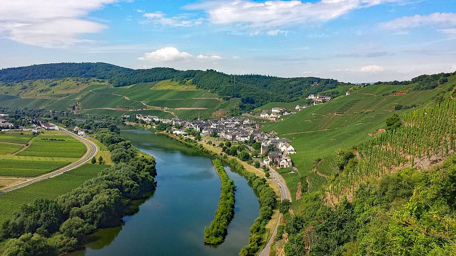 ürzig, mosel, sachsen, germany, wine, vineyards, landscape HD wallpaper