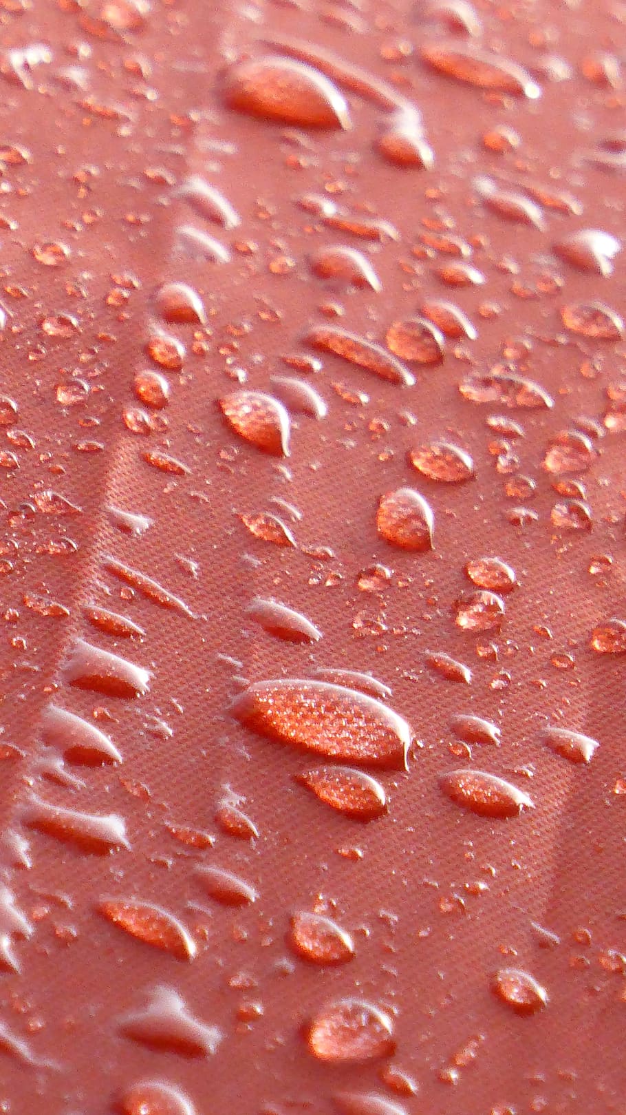 Raindrop, Umbrella, Wet, red, autumn, drip, water, close-up HD wallpaper