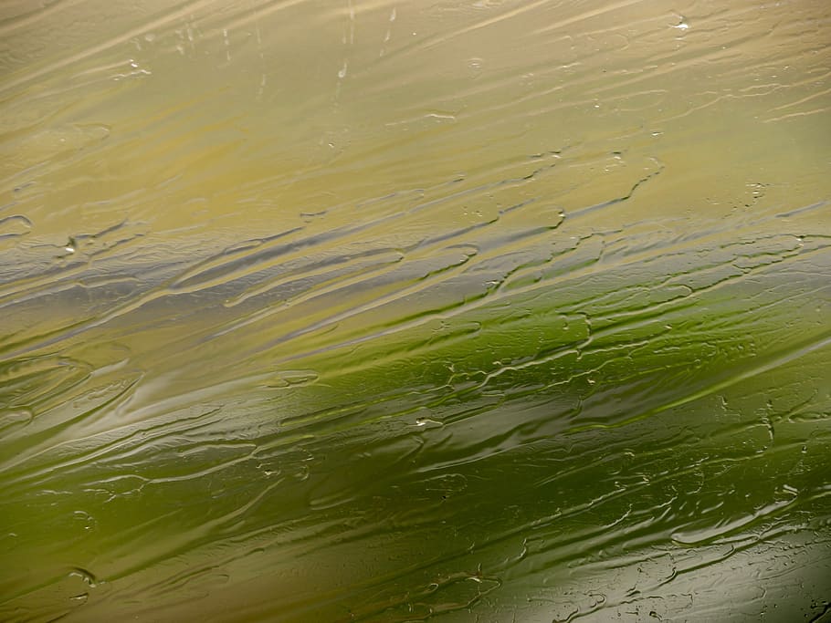 rain, window, disc, beaded, drip, water, nature, no people HD wallpaper
