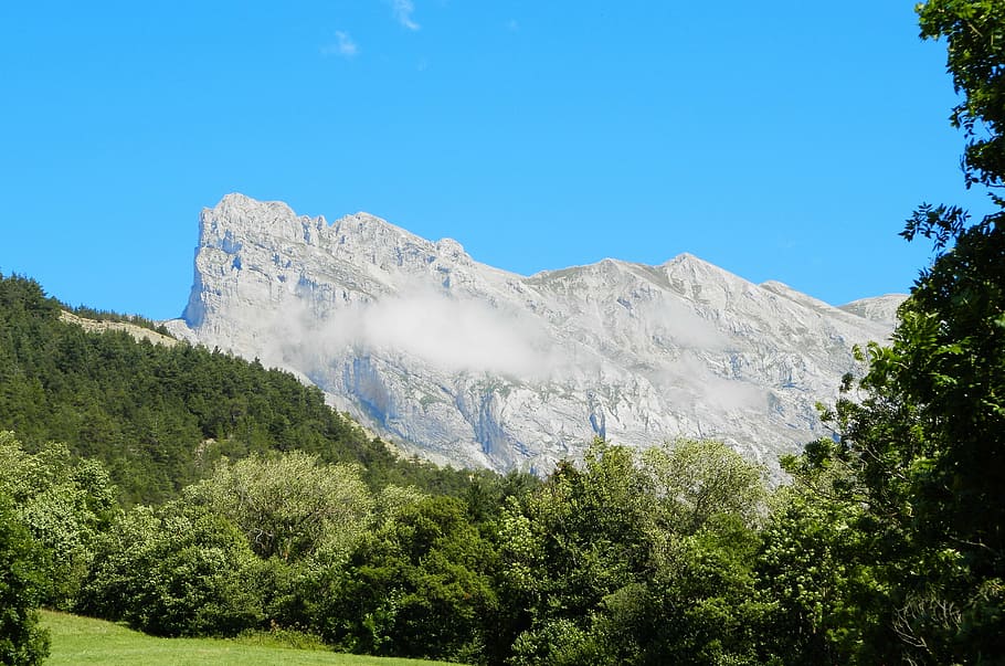 mountain, blue sky, tree, cloud, gray, roche, rocky, fir, landscape HD wallpaper