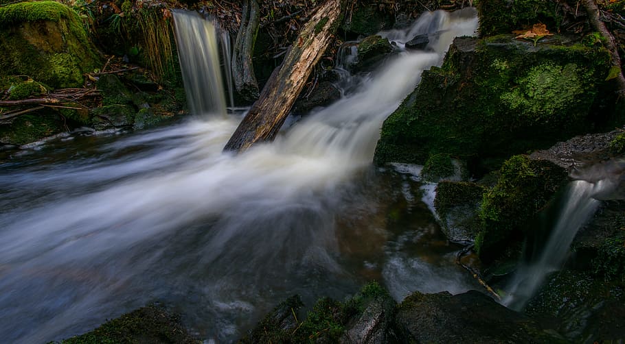 stream, river, water, runny, autumn, the nature of the, forest HD wallpaper