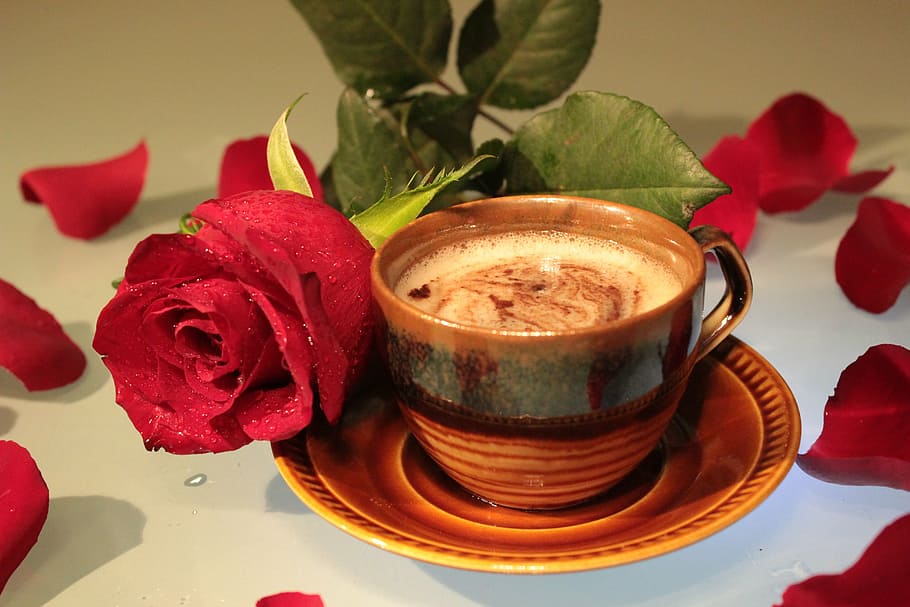 brown ceramic cup filled with coffee, rose, foam, drink, petals HD wallpaper