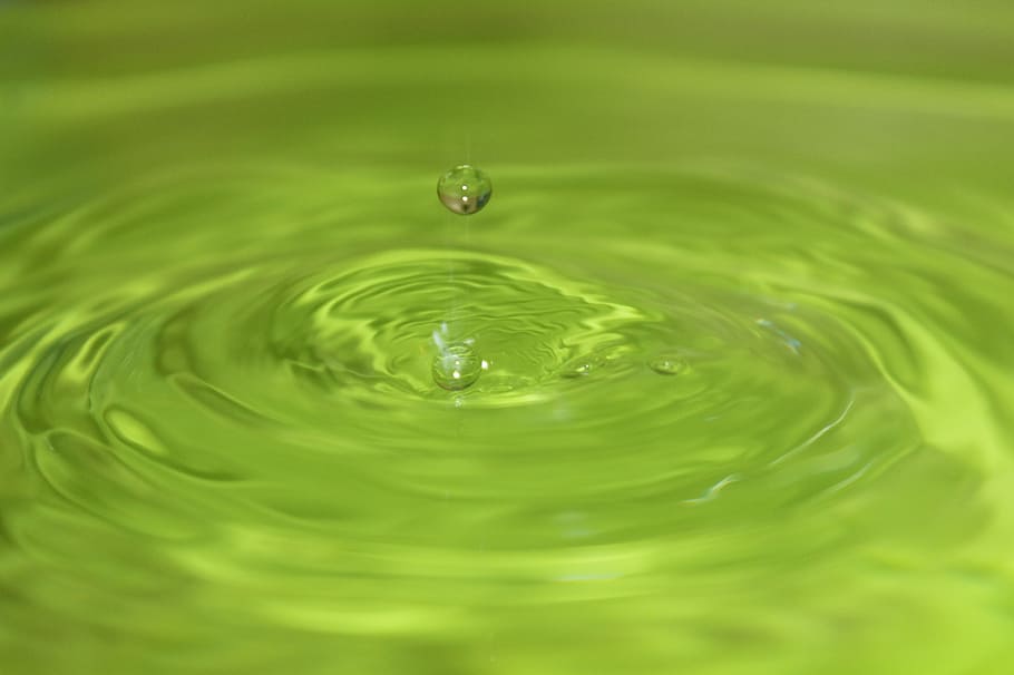 selective focus photography of water, drip, liquid, green, drop HD wallpaper
