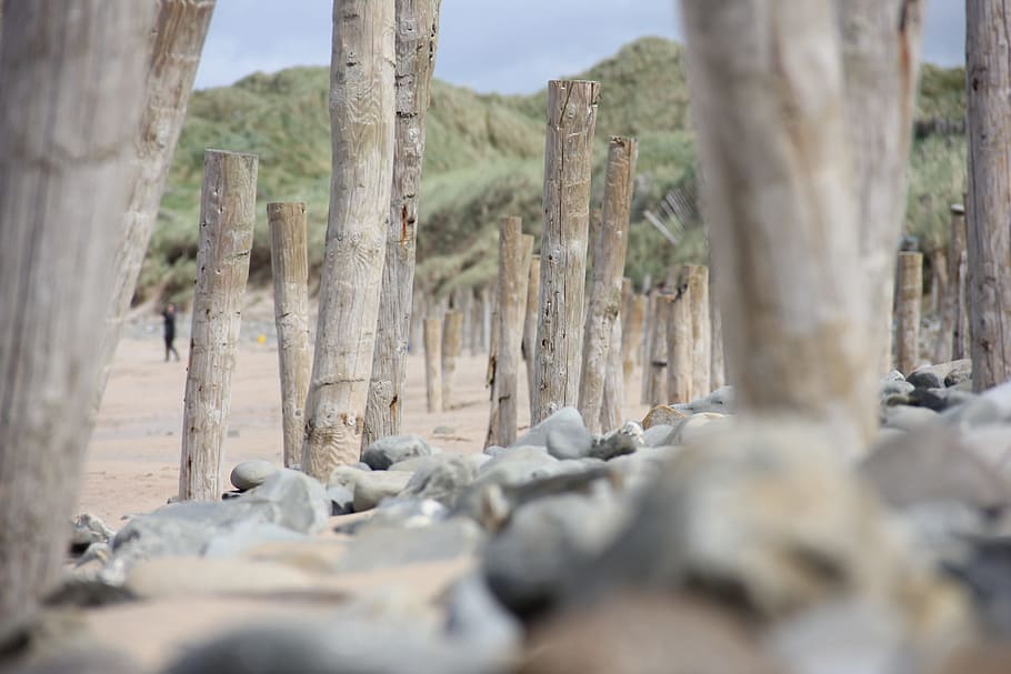 lonely beach, ireland, doonbeg, rocks, stones, tree, plant HD wallpaper