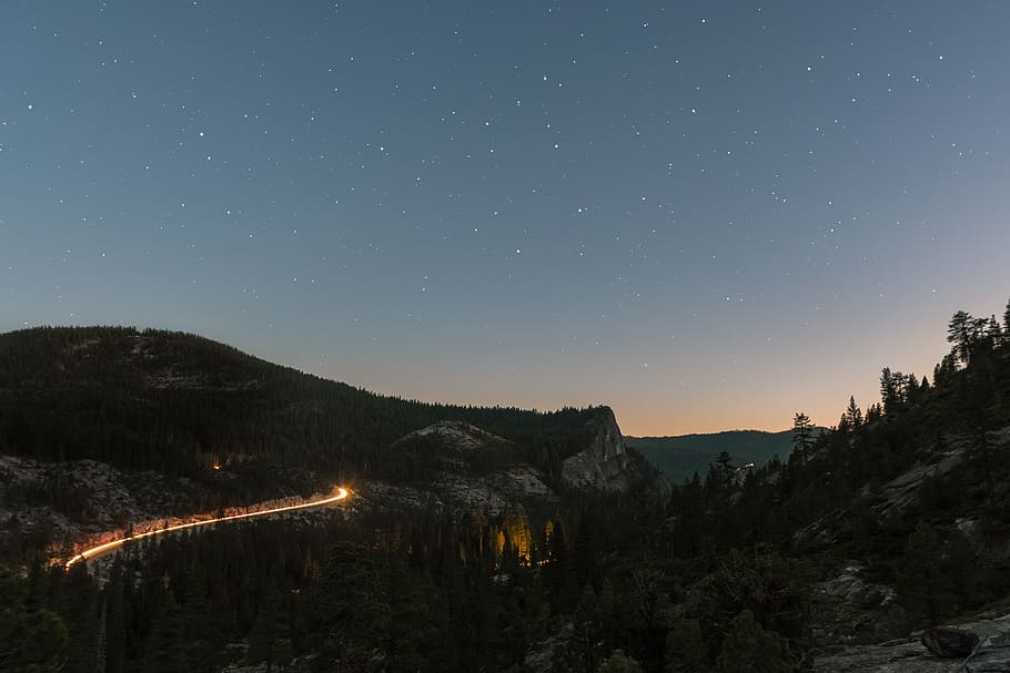 trees and hills during nighttime, forest near the mountain, nature HD wallpaper