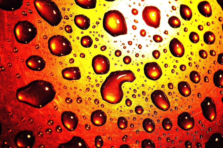 Drops, Background, Seasons, Water, rain, macro, close-up, red HD wallpaper