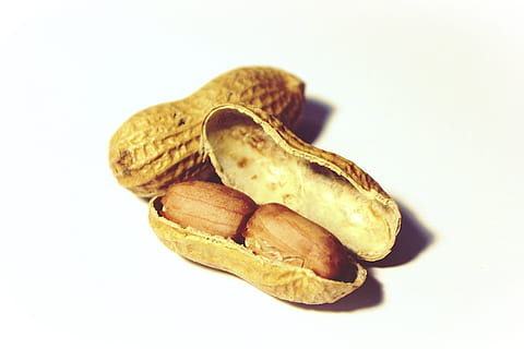 peanut sed, peanuts, snack, nutrition, healthy, nibble, decoration HD wallpaper